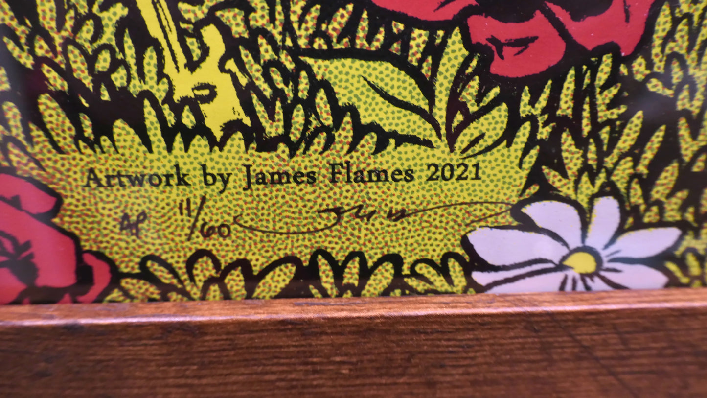 Dave Matthews Band "Everyday" by James Flames #11/60