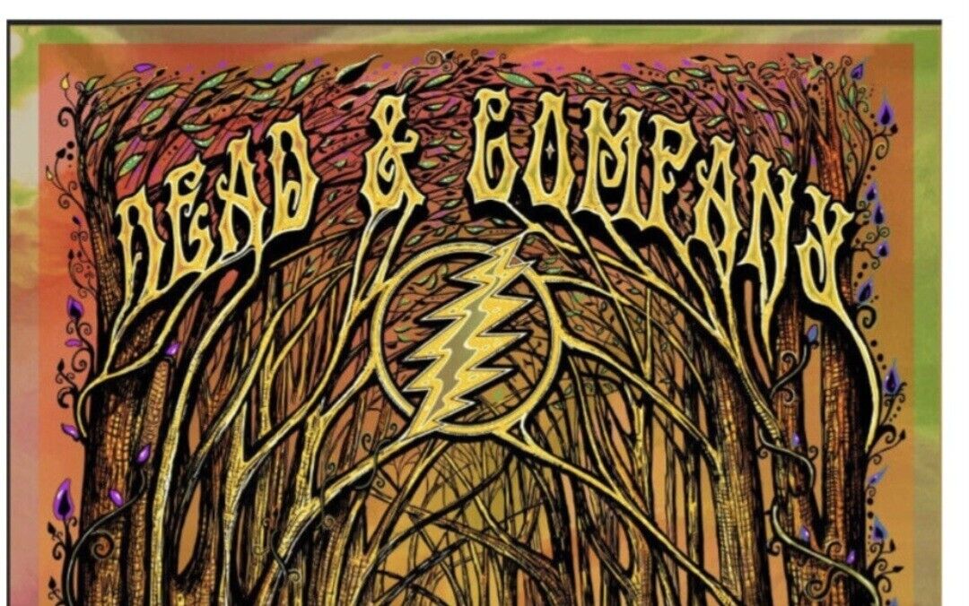 Dead & Company ️Saratoga Performing Arts Center 6/17-18/23 Mike DuBois