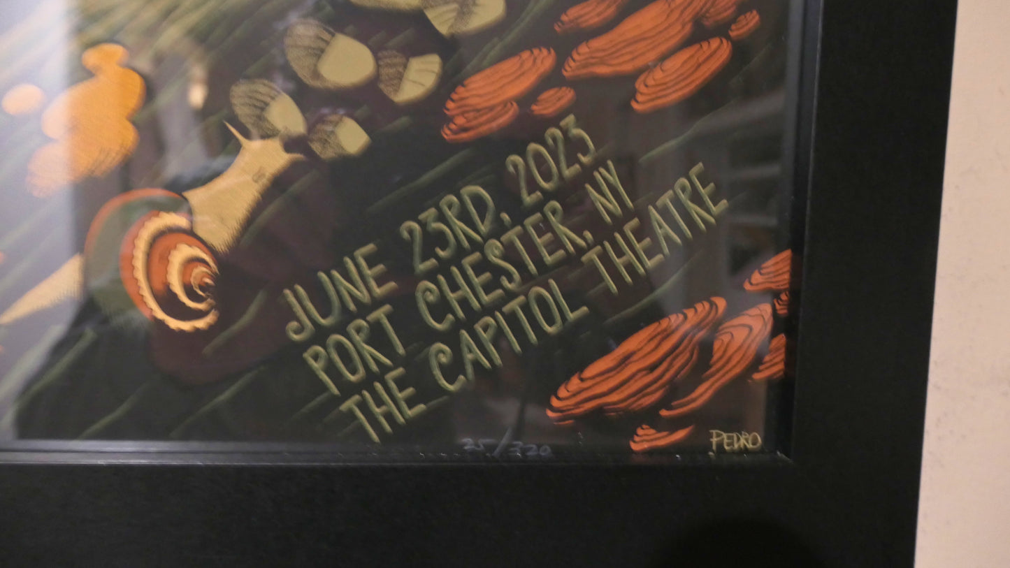 Les Claypool's Fearless Flying Frog Brigade - June 23rd, 2023 The Capitol Theatre - Port Chester, NY#25/320 Autographed