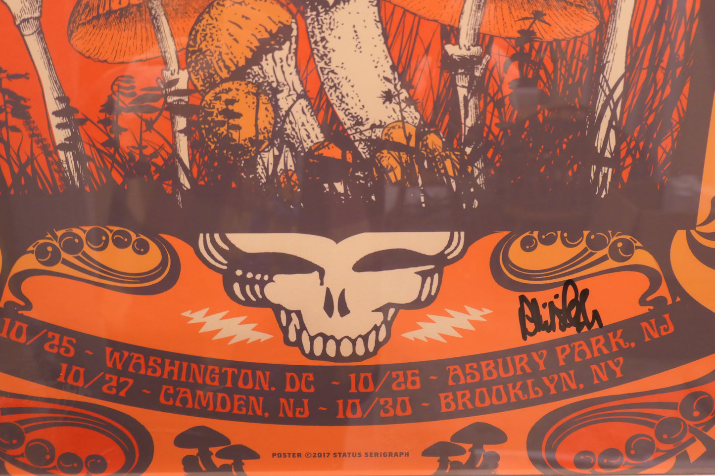 Phil Lesh & The Terrapin Family Band 🎸 Fall Tour Poster 2017 Autographed! #134/350